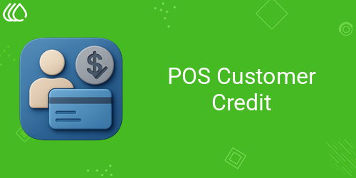 POS Customer Credit