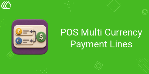 POS Multi Currency Payment Lines
