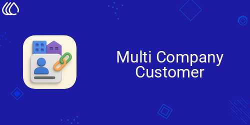 Multi Company Customer