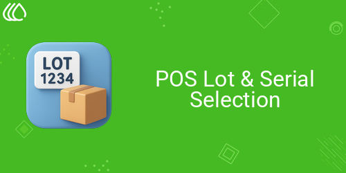 POS Lot & Serial Selection