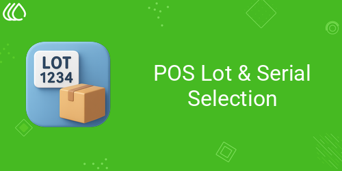 POS Lot & Serial Selection