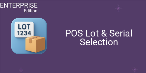 POS Lot & Serial Selection For Enterprise
