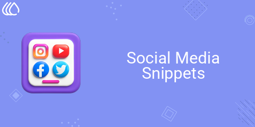 Social Media Snippets