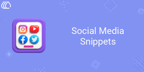 Social Media Snippets
