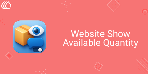 Website Show Available Quantity