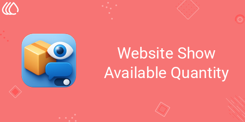 Website Show Available Quantity