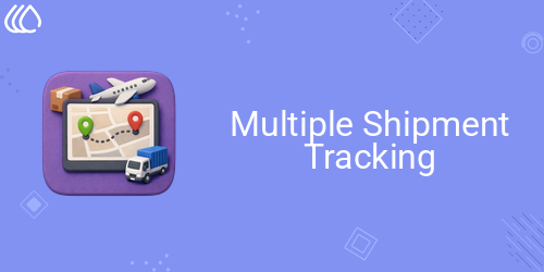Multiple Shipment Tracking