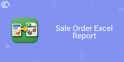 Sale Order Excel Report