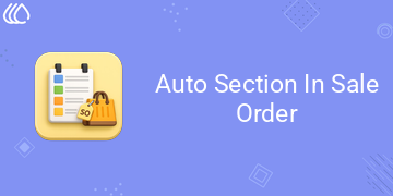 Auto Section In Sale Order