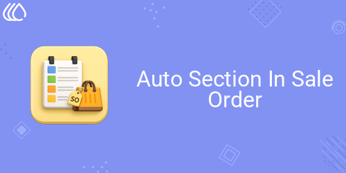 Auto Section In Sale Order
