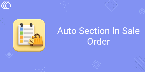 [eg_auto_section_sale_order_V19] Auto Section In Sale Order (19.0)